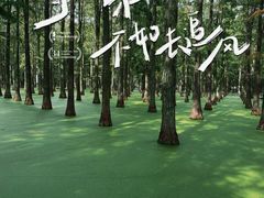 -渌洋湖湿地公园