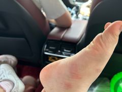 -汕头金乐大酒店