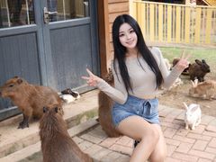 -灵玲国际马戏城