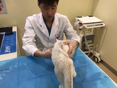 -美迦爱-牙专科·兔科·骨科诊疗中心(北苑店)