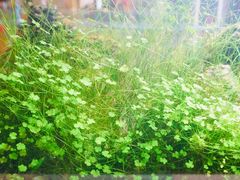 -远洋未来广场(育慧北路店)