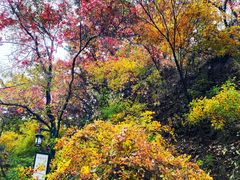 -北山公园