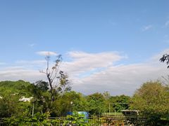 -广东温泉宾馆