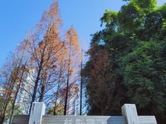 -金山公园