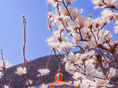 -蓟州溶洞风景区
