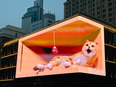 -玖鲜小笼(中山广场店)