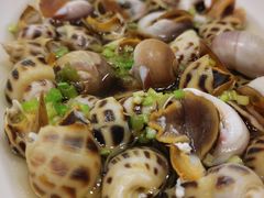 香螺花螺双拼-高佳庄·舟山海鲜(海景旗舰店)