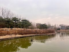 -燕郊植物园