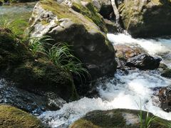 -龙苍沟森林公园