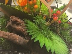 -同庆楼(奥体中心店)