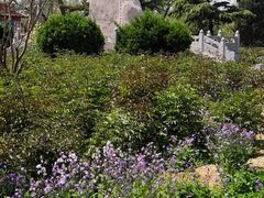 -赵州桥景区