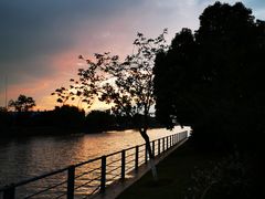 -高东镇樱花园