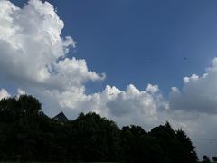 -旭宝高尔夫俱乐部