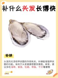 -Bollins波林丝•专研护发中心