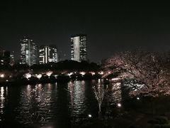 -黑松白鹿(金融街店)