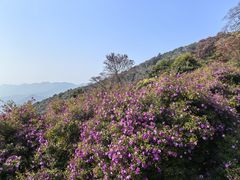 -广州市石门国家森林公园
