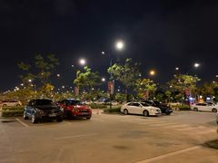 -迪士尼乐园停车场