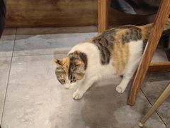 -后海16号·北京私房菜