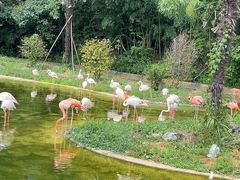-杭州野生动物世界