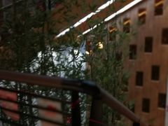 -汤森悠生活文化汤(江宁万达店)