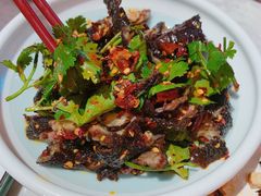 降龙十八掌-天辣(金桥啦啦宝都店)