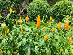 -中国科学院西双版纳热带植物园