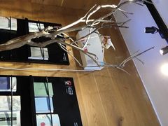 -茶颜悦色(平和堂负一楼店)