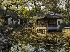 -秋霞圃