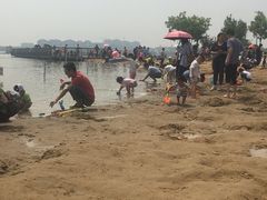 -武清南湖绿博园