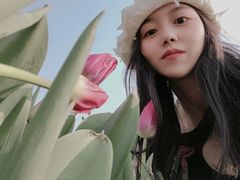 -秀丽东方