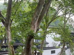 -绍兴饭店知遇楼(环山路店)