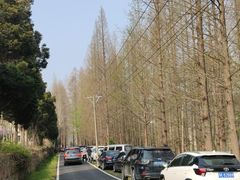 -信阳灵山风景区