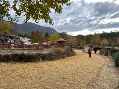 -塔川景区