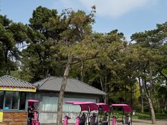 -长春市南湖公园