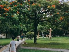 -垂虹公园