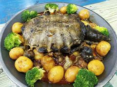 土豆烧甲鱼-阆辣荟餐饮(老味道8年·古城店)