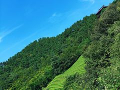 -敬亭山风景名胜区