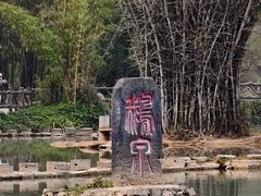 -靖西鹅泉风景区