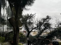 -阿南海鲜