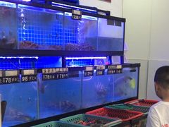 -冯姐生蚝(长隆横琴店)