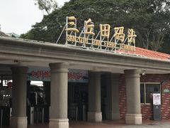 -叶氏麻糍(鼓浪屿店)