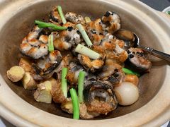 砂锅鳗鱼-悦秀·高级粤菜