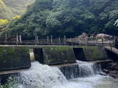 -太湖源风景区