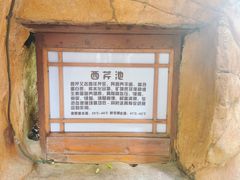 -泉眼温泉