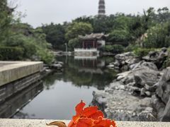 -顺峰山公园
