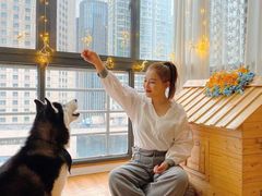 -Husky Go! 哈士奇体验馆·宠物咖啡厅狗咖