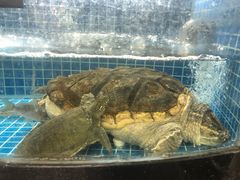 -东沙小镇主题餐厅(下沙店)