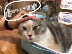 -藦茜花园宠物主题亲子互动体验馆(国顺东路店)