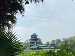 -桂湖森林公园