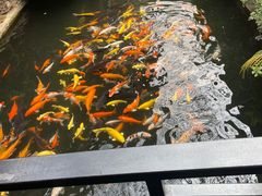 -优之名鹅城